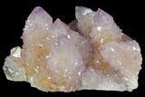 Cactus Quartz (Amethyst) Crystal Cluster - South Africa #132520-2